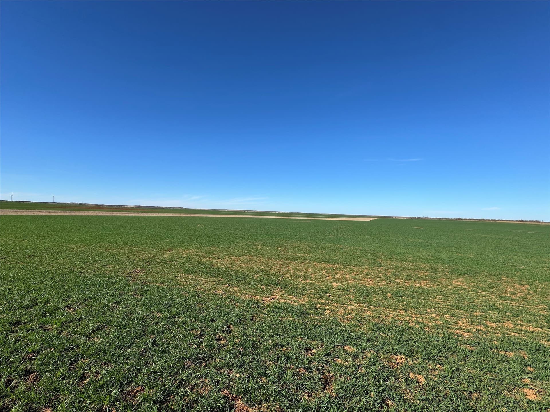 450.25 acres in Baylor County - photo 6