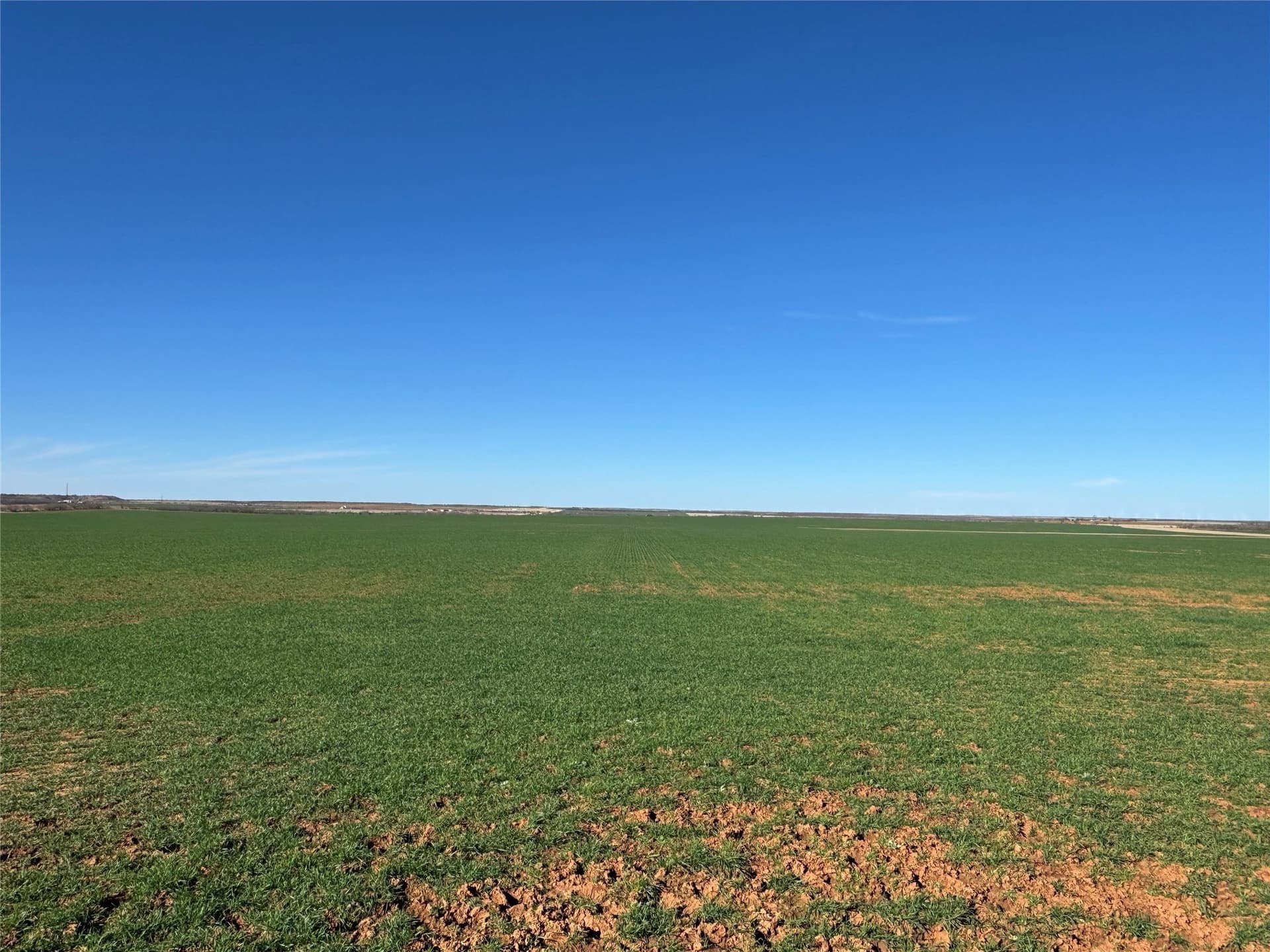 450.25 acres in Baylor County - photo 10
