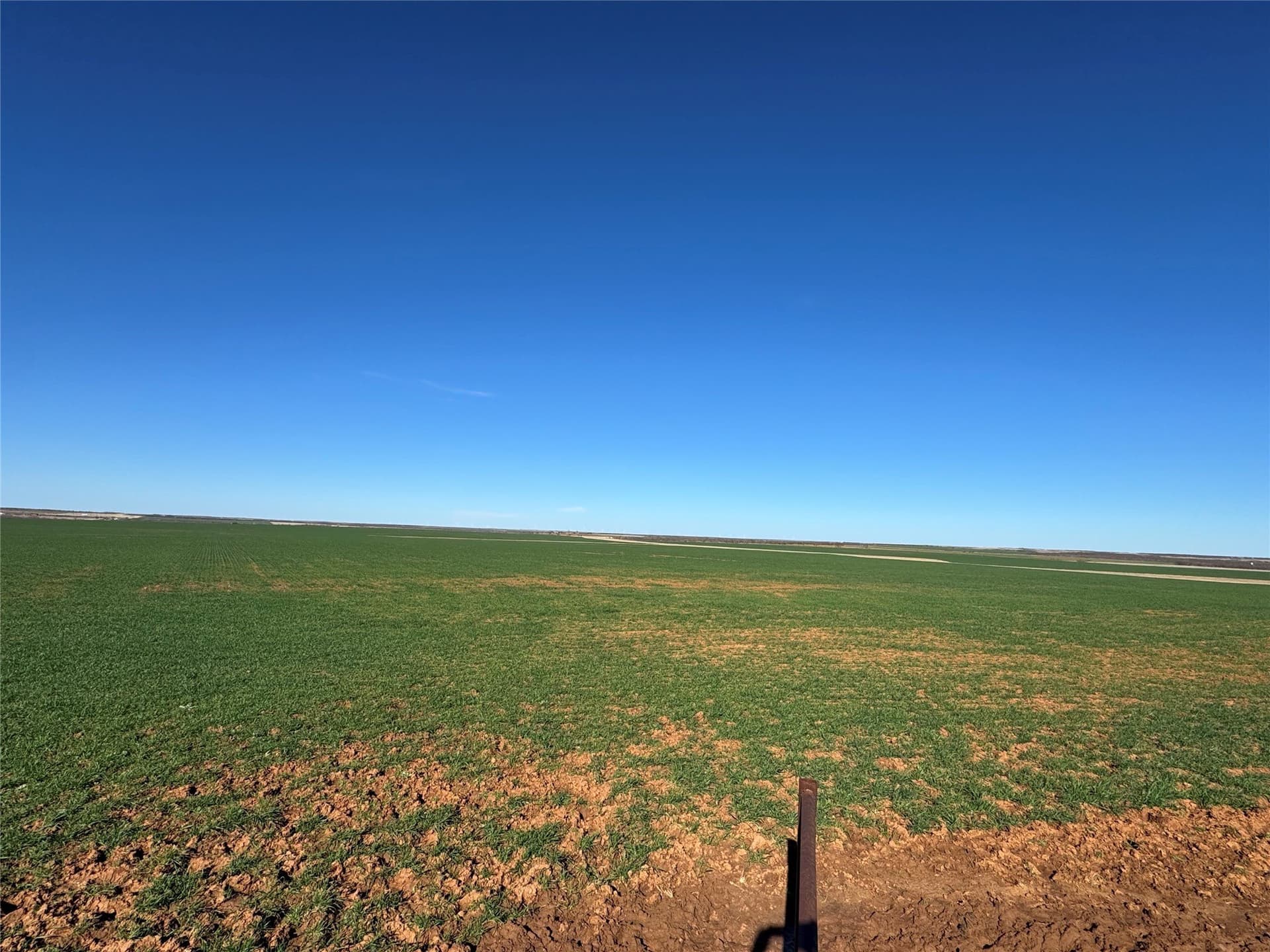 450.25 acres in Baylor County - photo 8