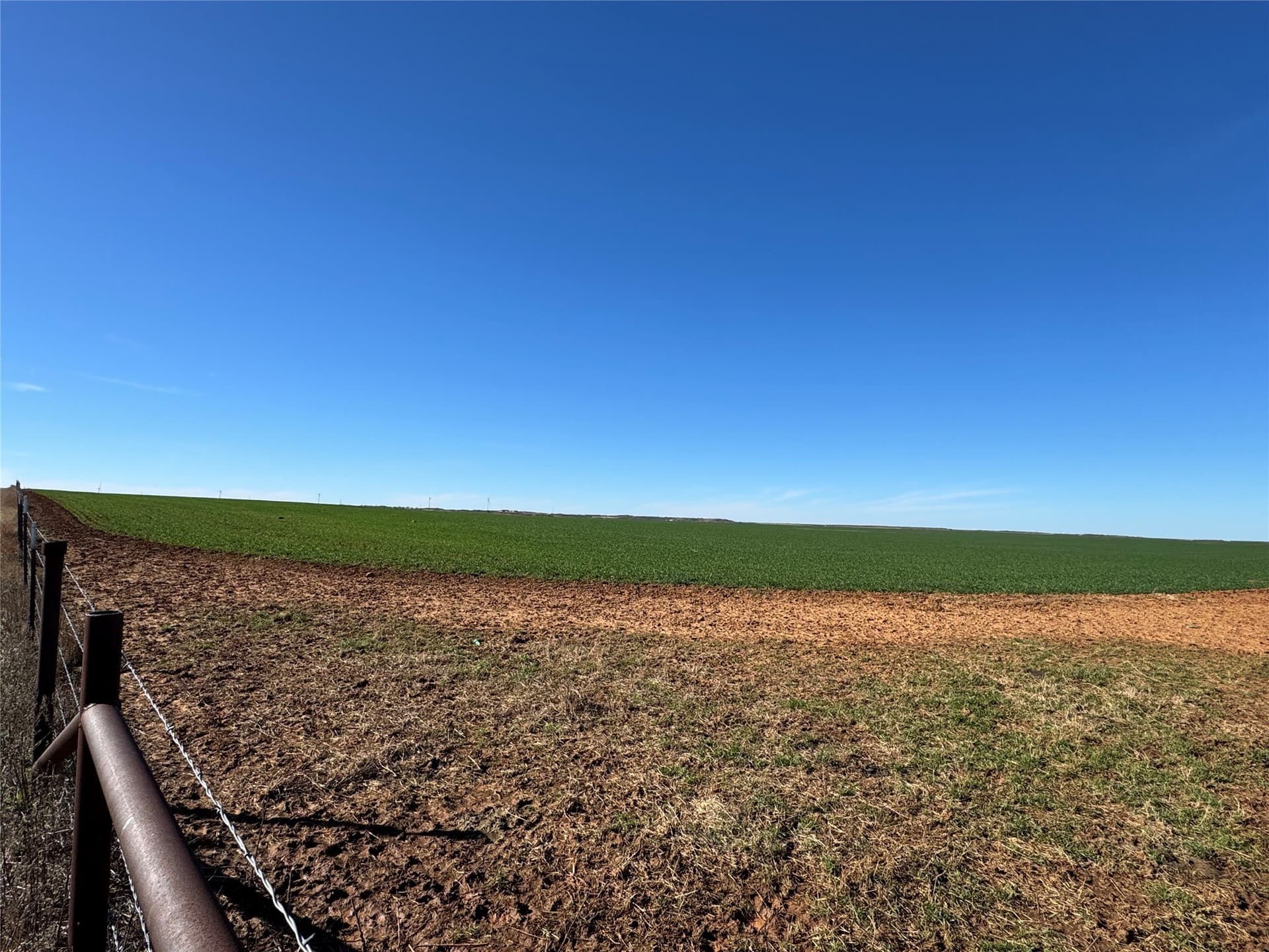450.25 acres in Baylor County - photo 5
