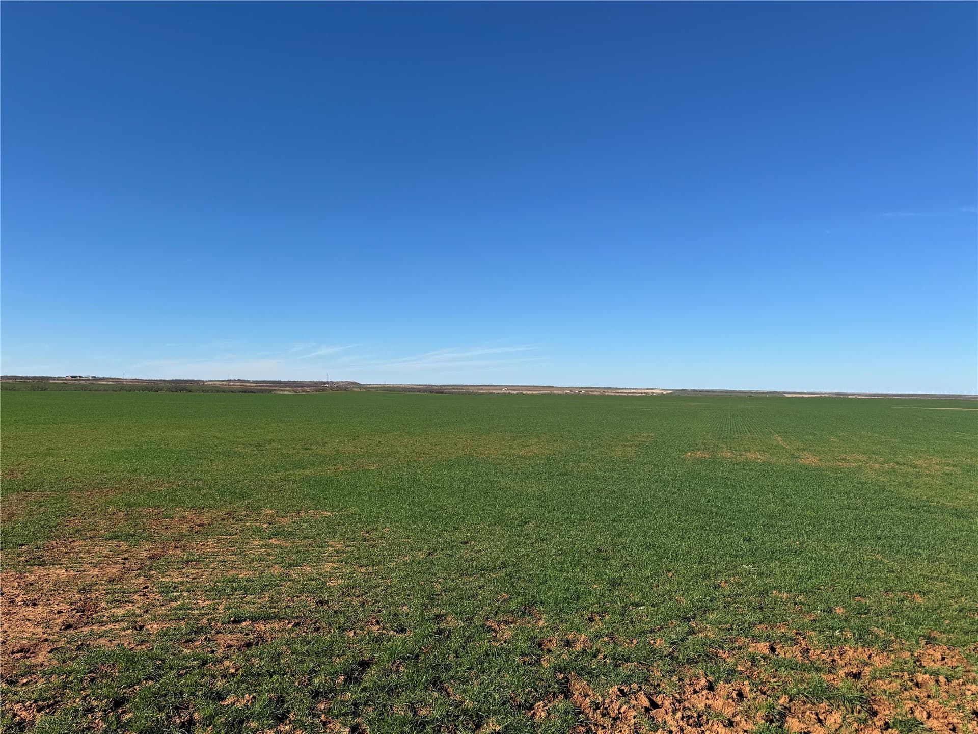 450.25 acres in Baylor County - photo 11