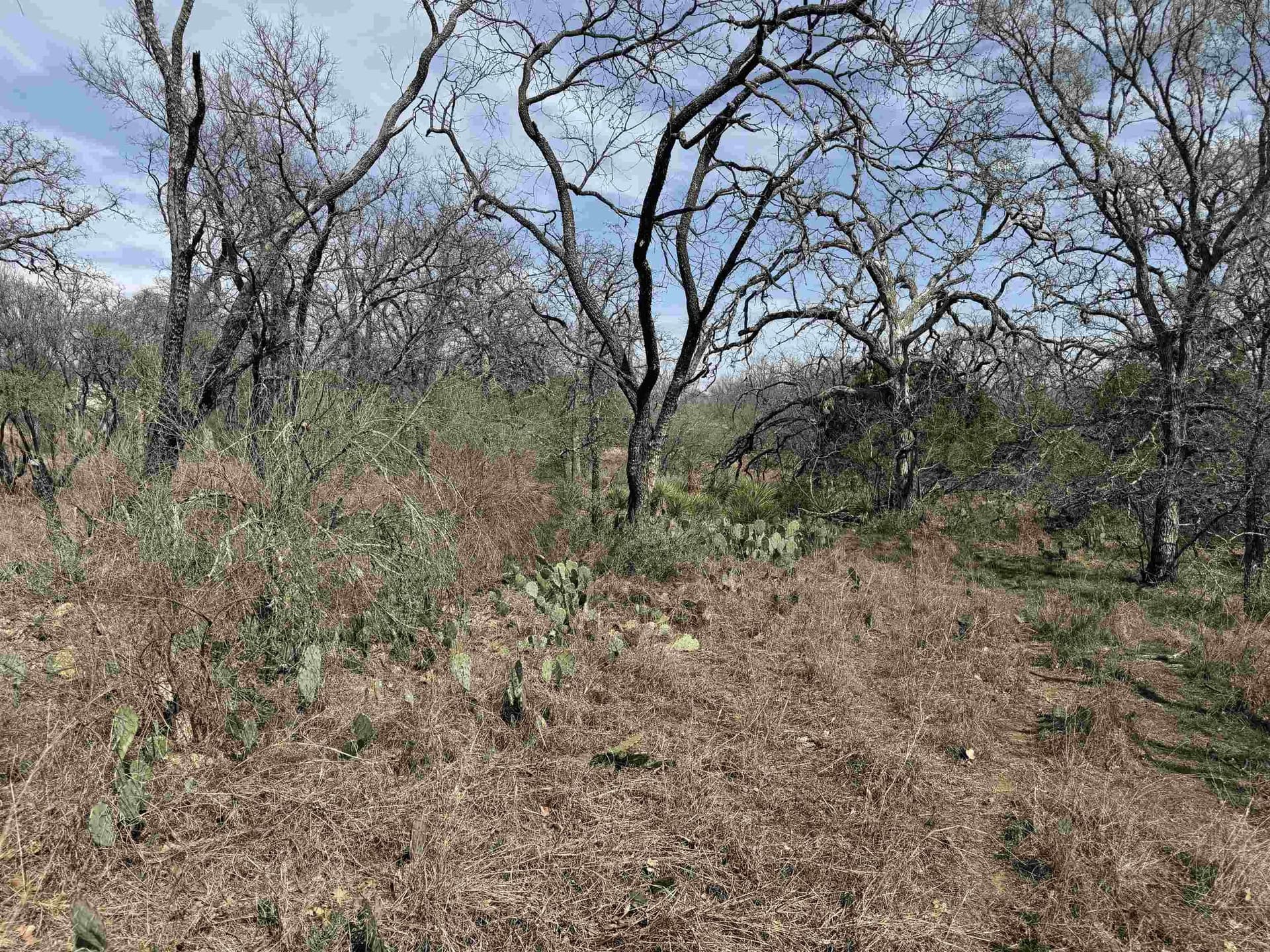 0.28 acres in Llano County