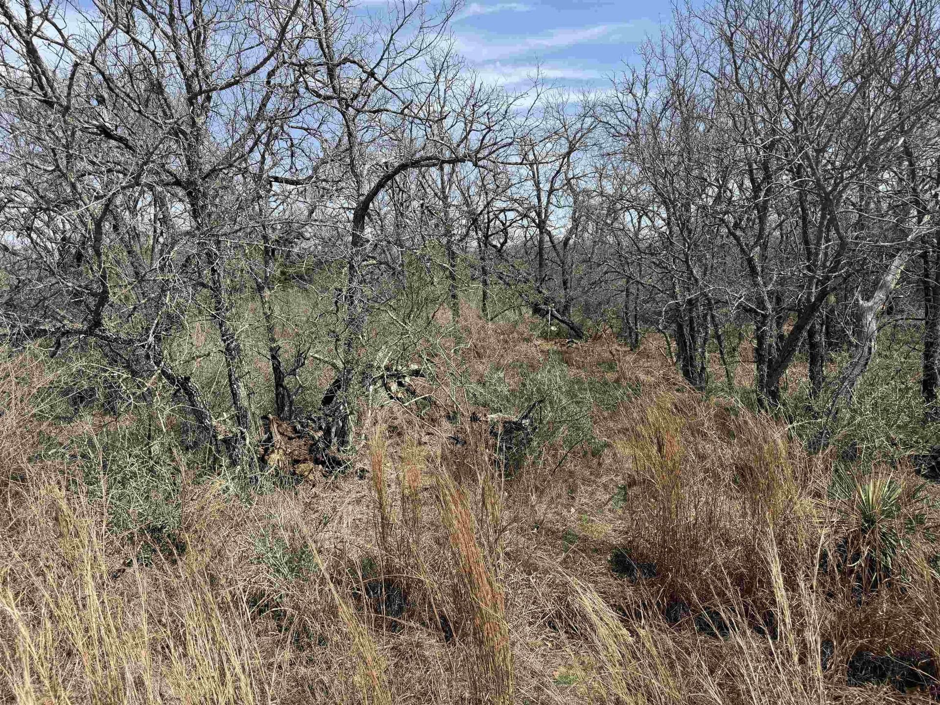 0.28 acres in Llano County - photo 3