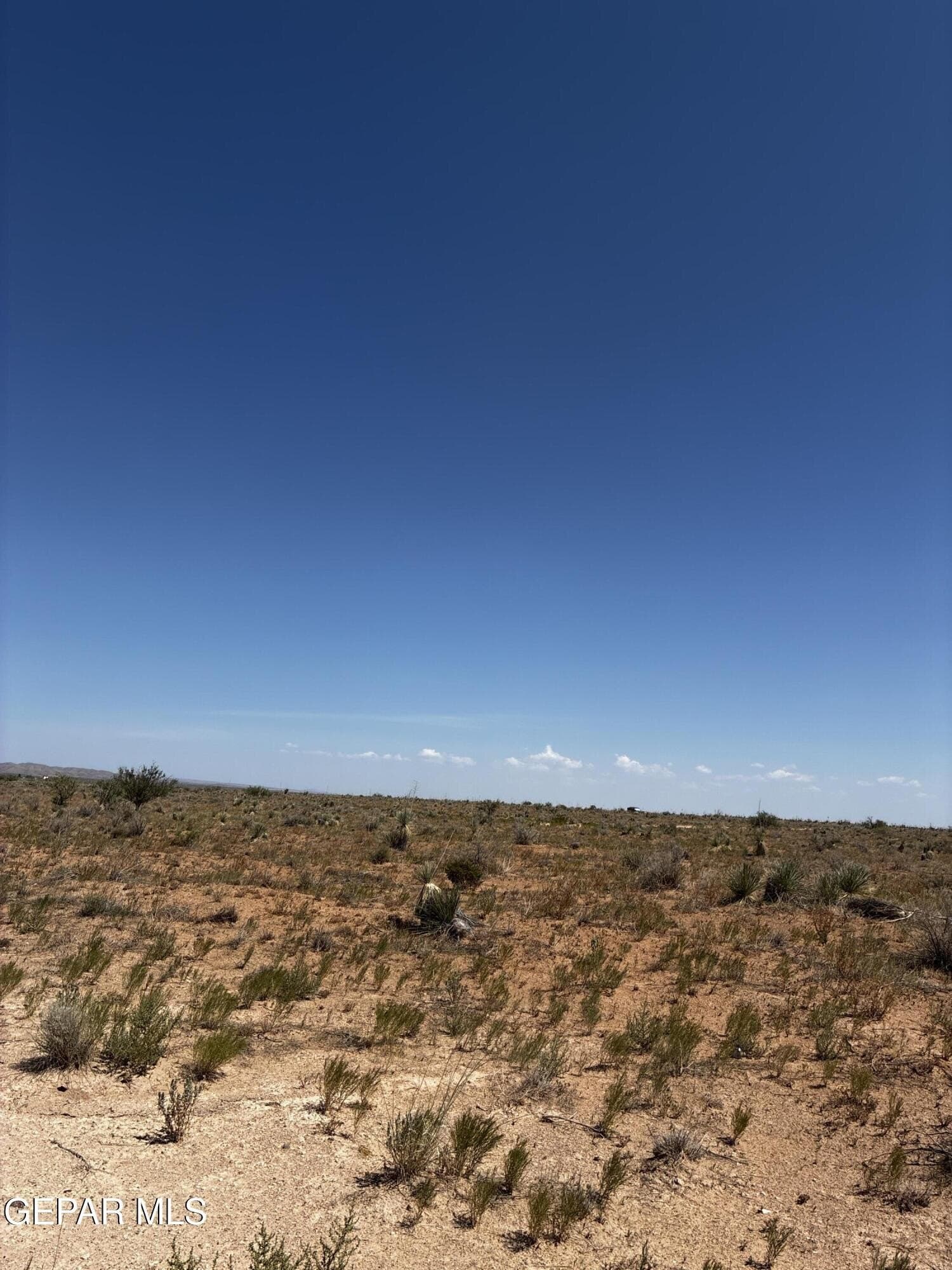 0.14 acres in El Paso County gallery image 2