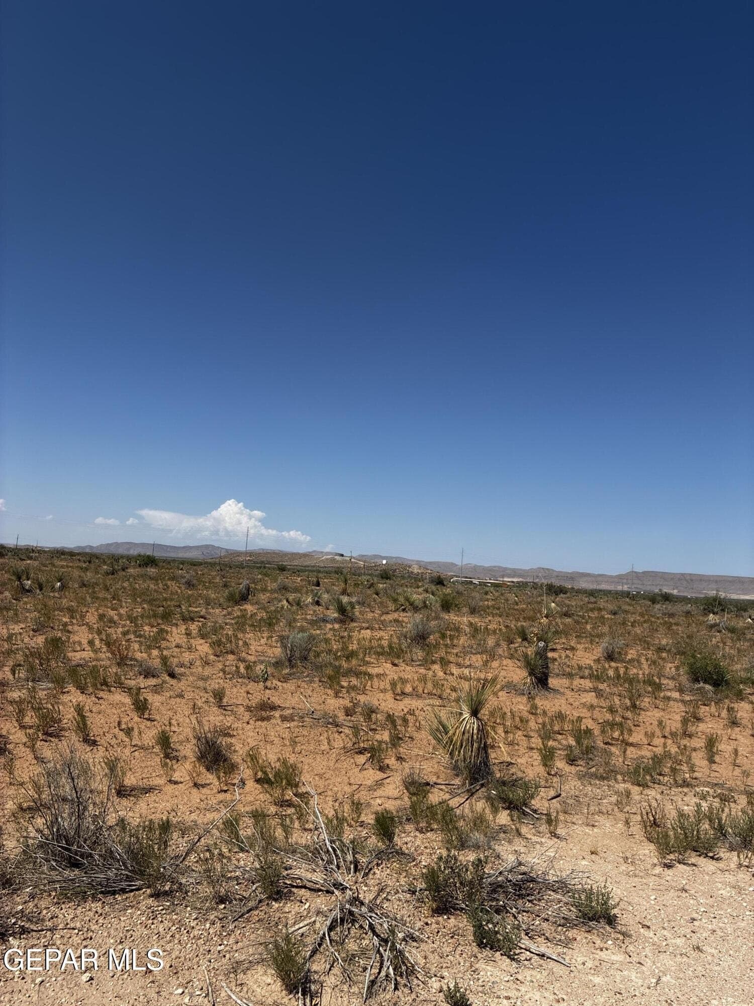 0.14 acres in El Paso County gallery image 4