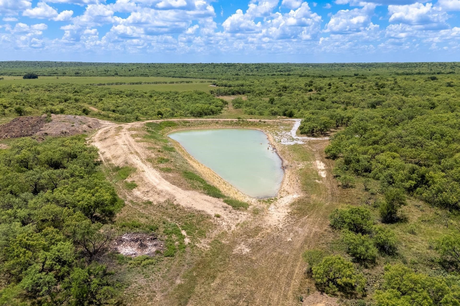 326 acres in Callahan County - photo 8