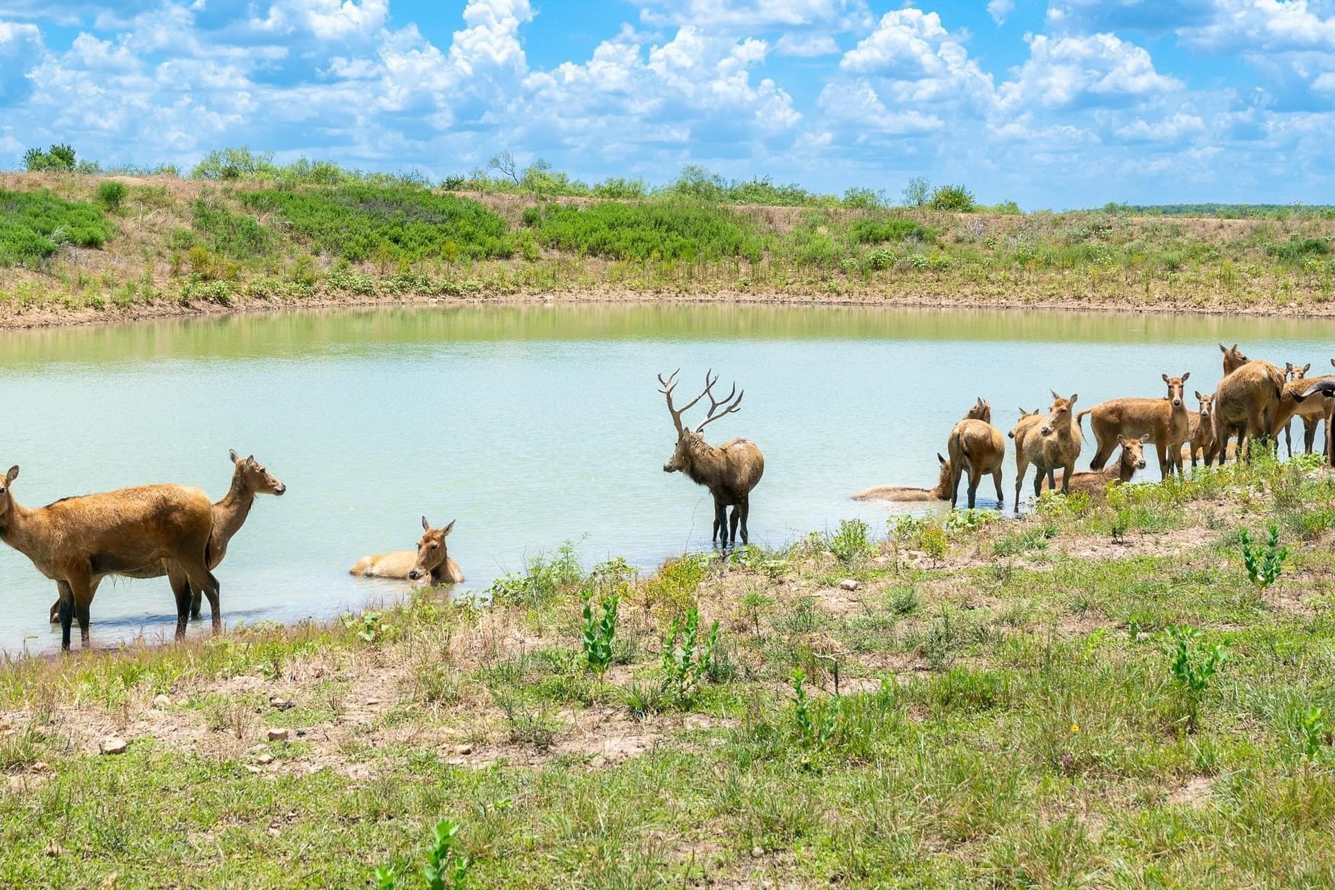 326 acres in Callahan County - photo 35