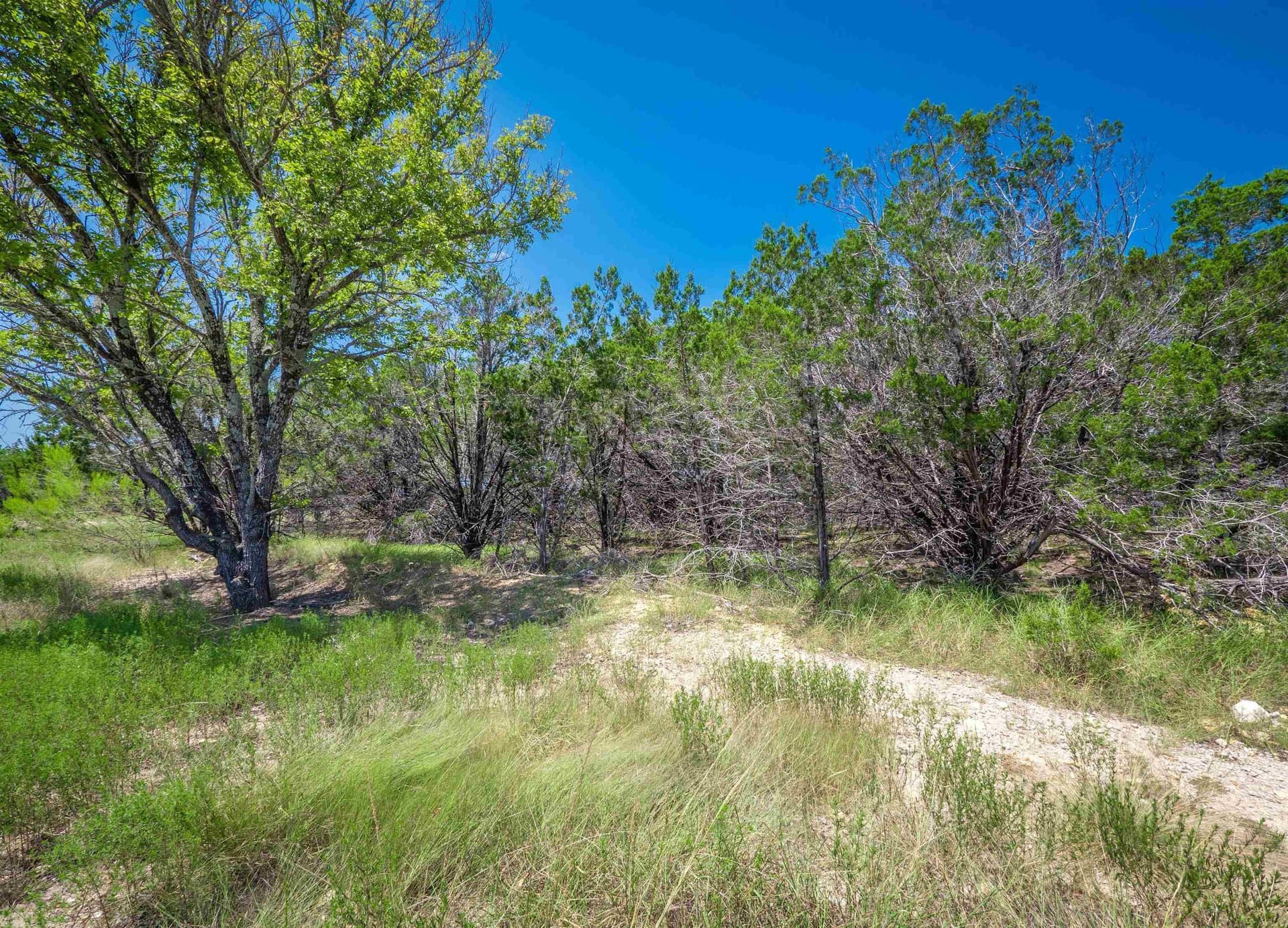 2 acres in Burnet County - photo 17