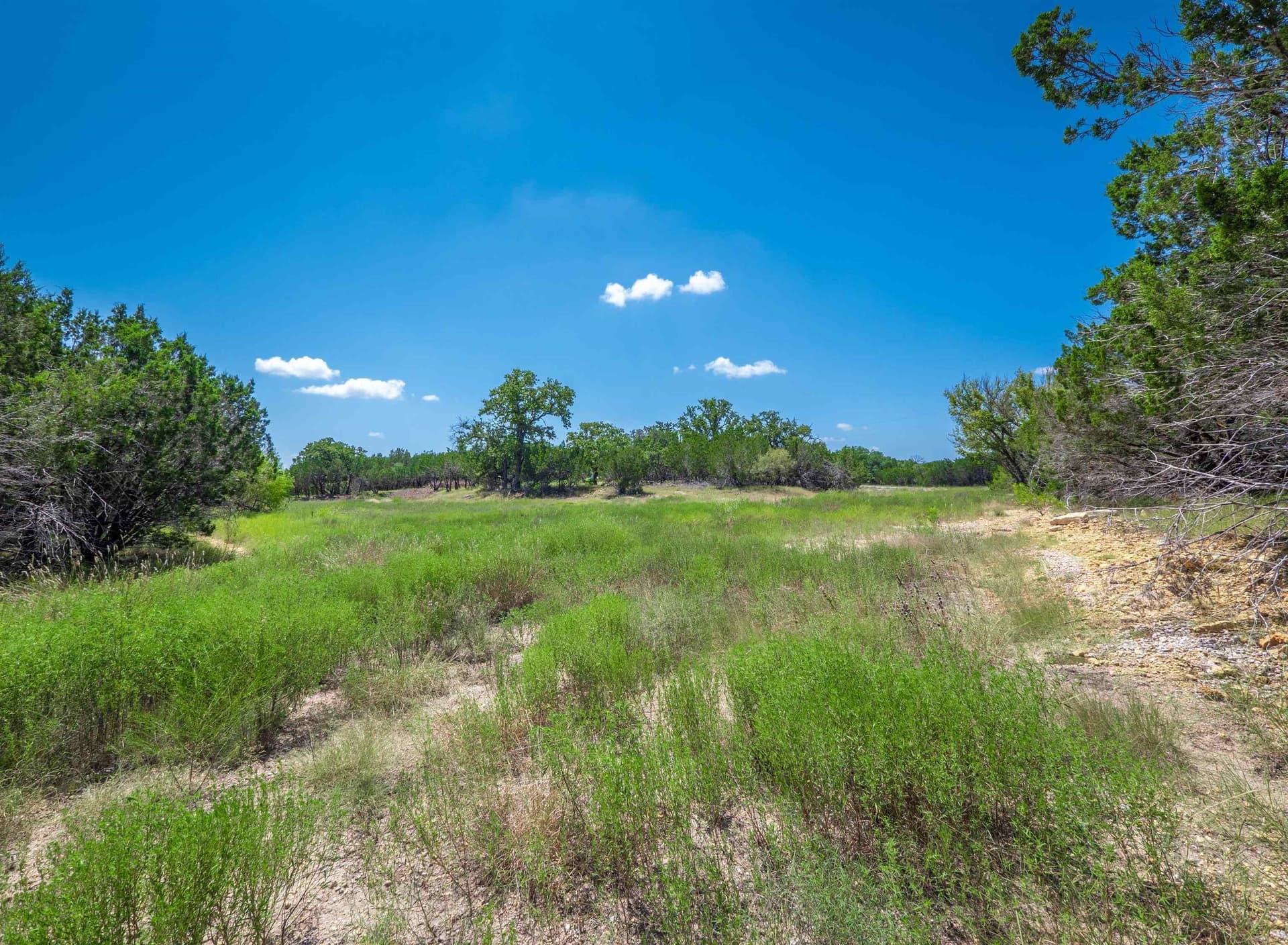 2 acres in Burnet County - photo 9