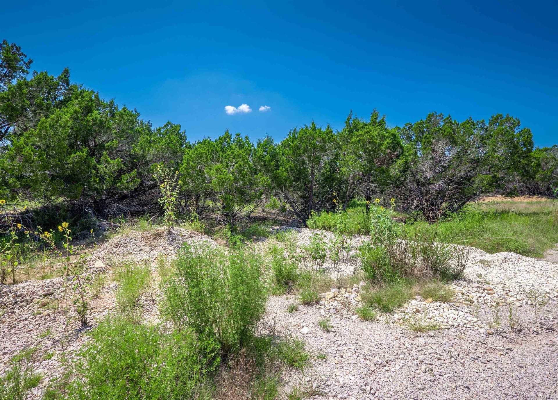 2 acres in Burnet County - photo 10