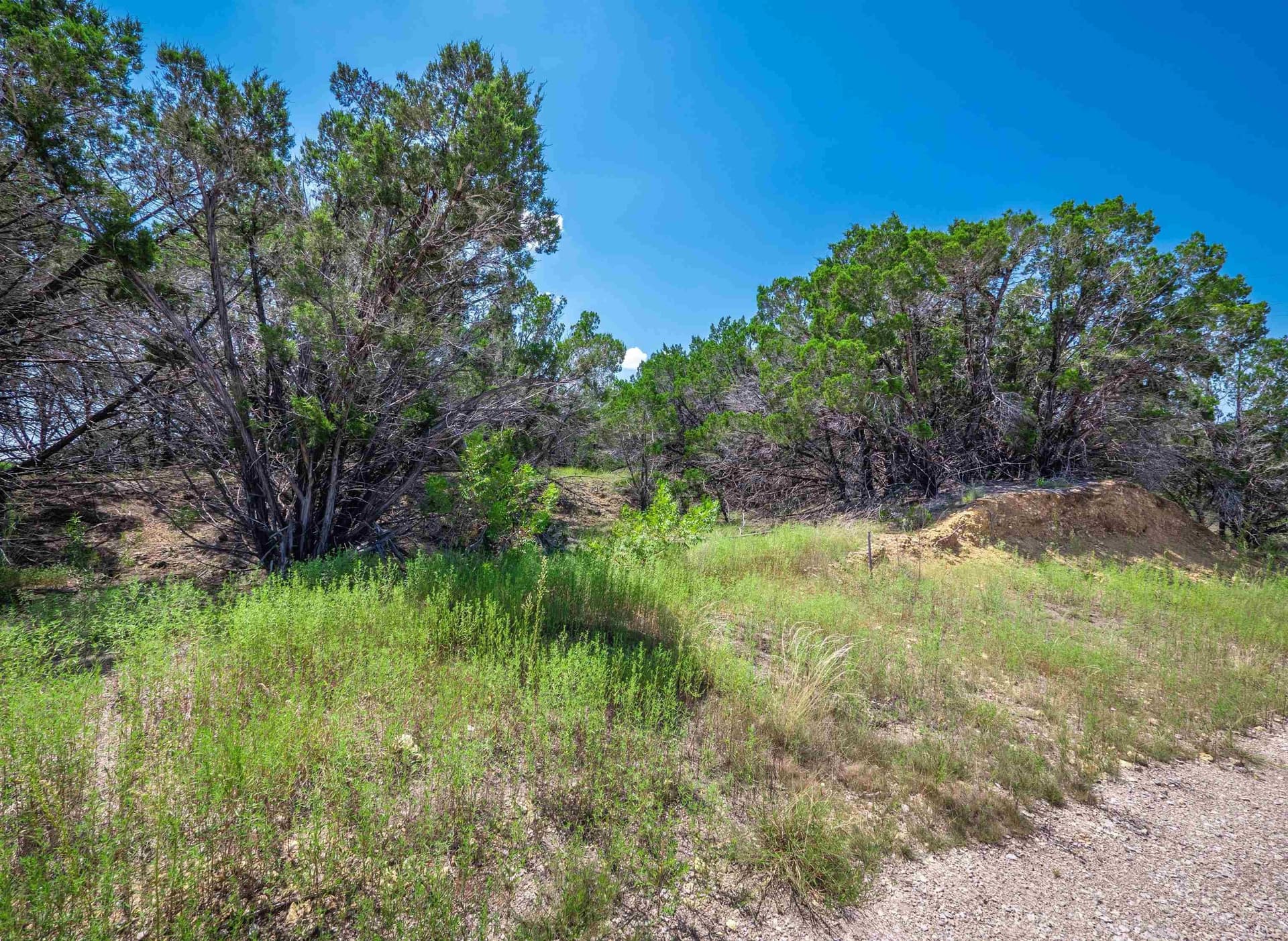 2 acres in Burnet County - photo 7