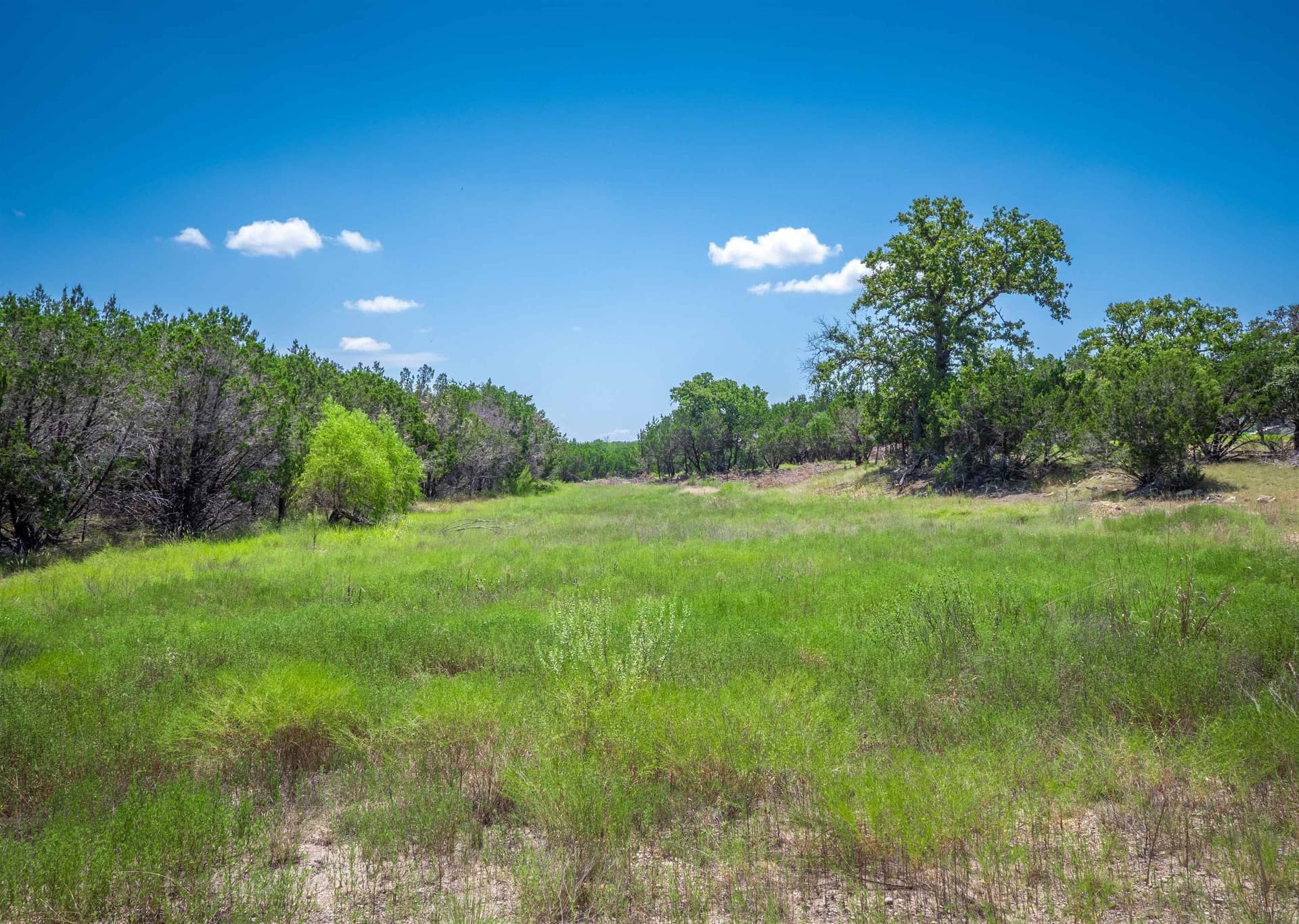 2 acres in Burnet County - photo 11