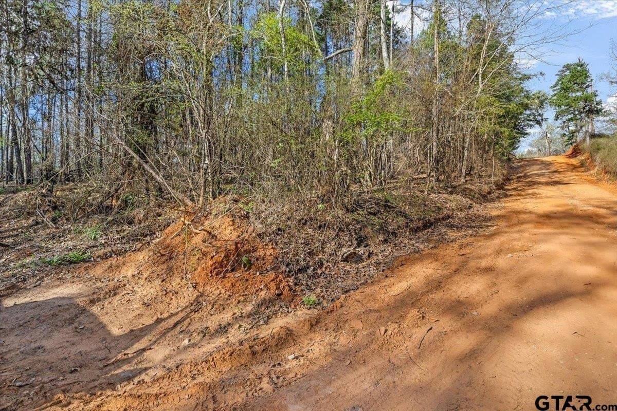 0.91 acres in Smith County gallery image 3