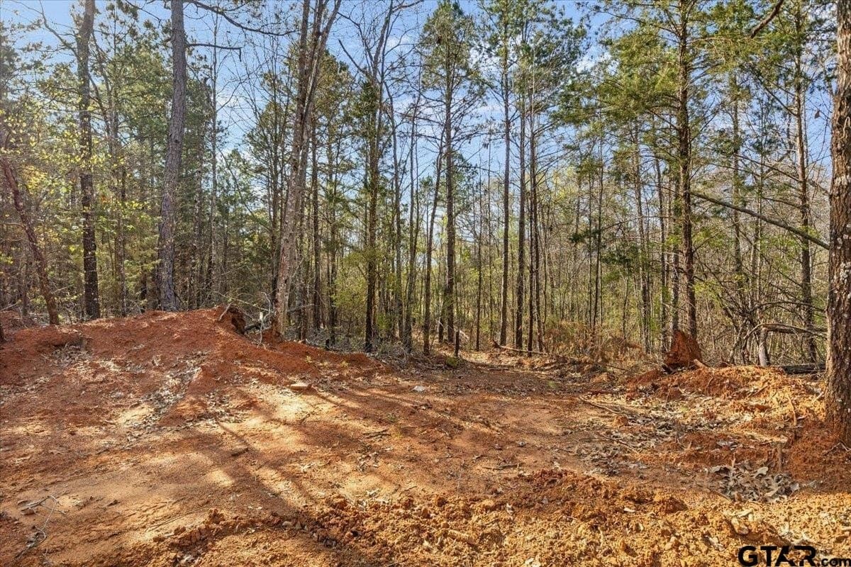 0.91 acres in Smith County gallery image 2