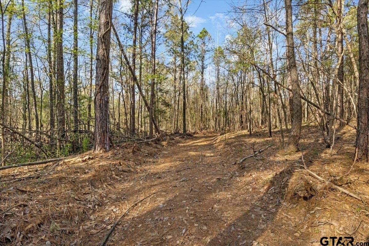 0.91 acres in Smith County gallery image 4