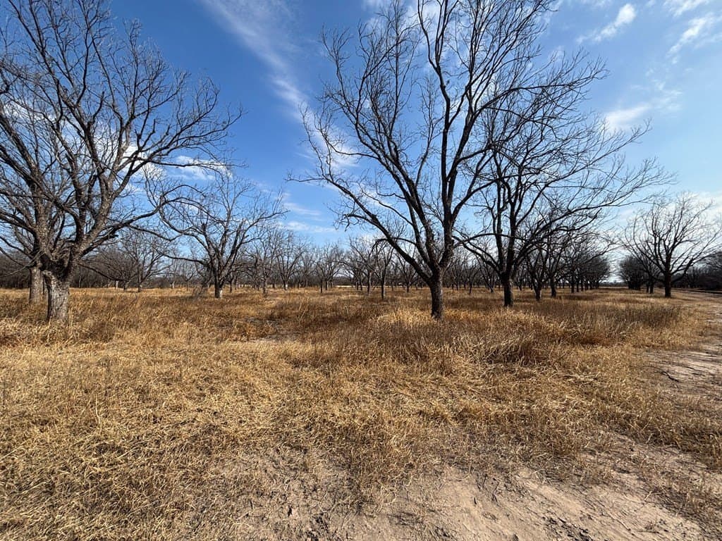 5 acres in Maverick County gallery image 4