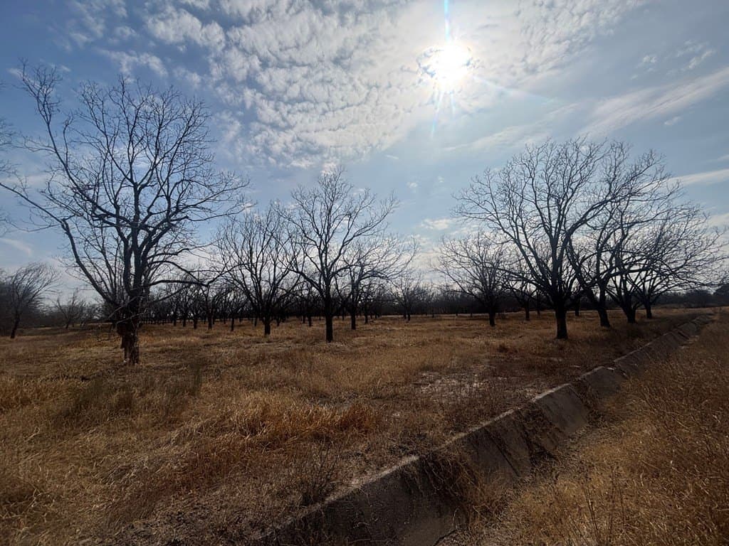 5 acres in Maverick County gallery image 2