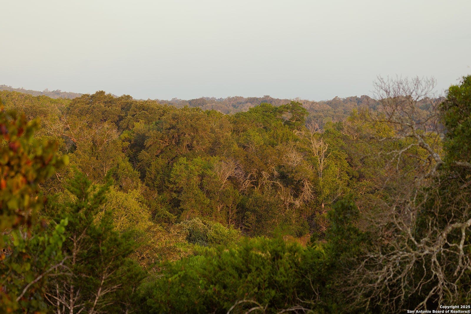 776 acres in Blanco County - photo 26