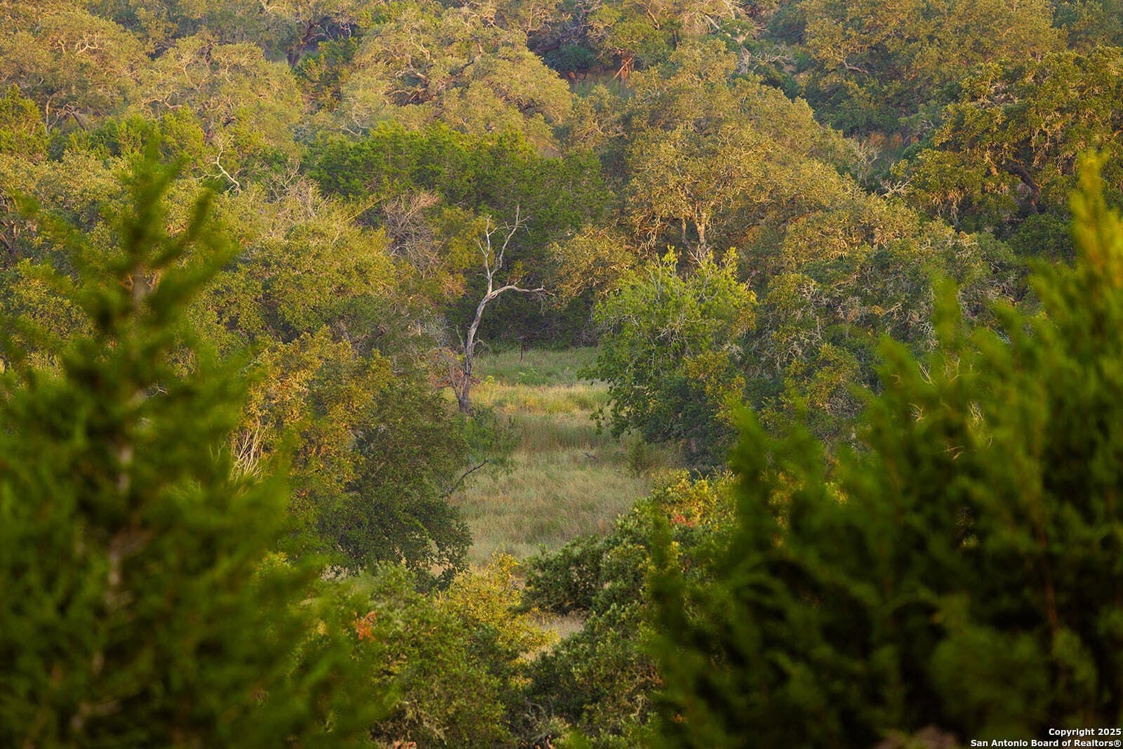 776 acres in Blanco County - photo 27