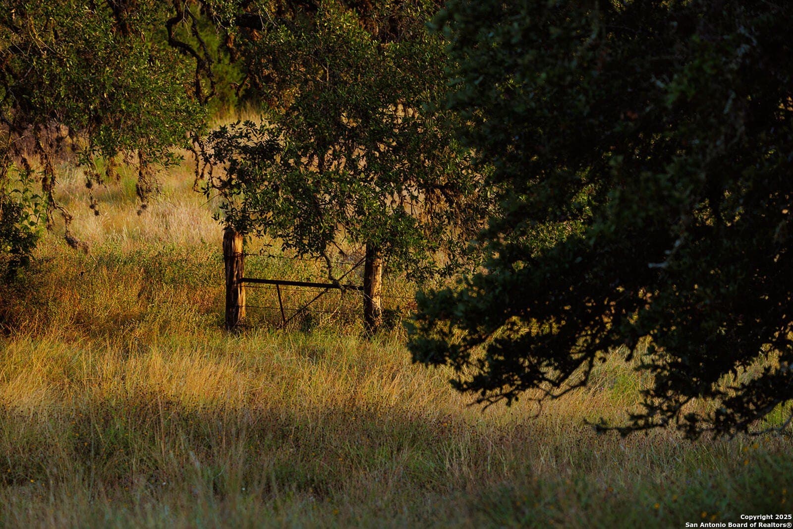776 acres in Blanco County - photo 31