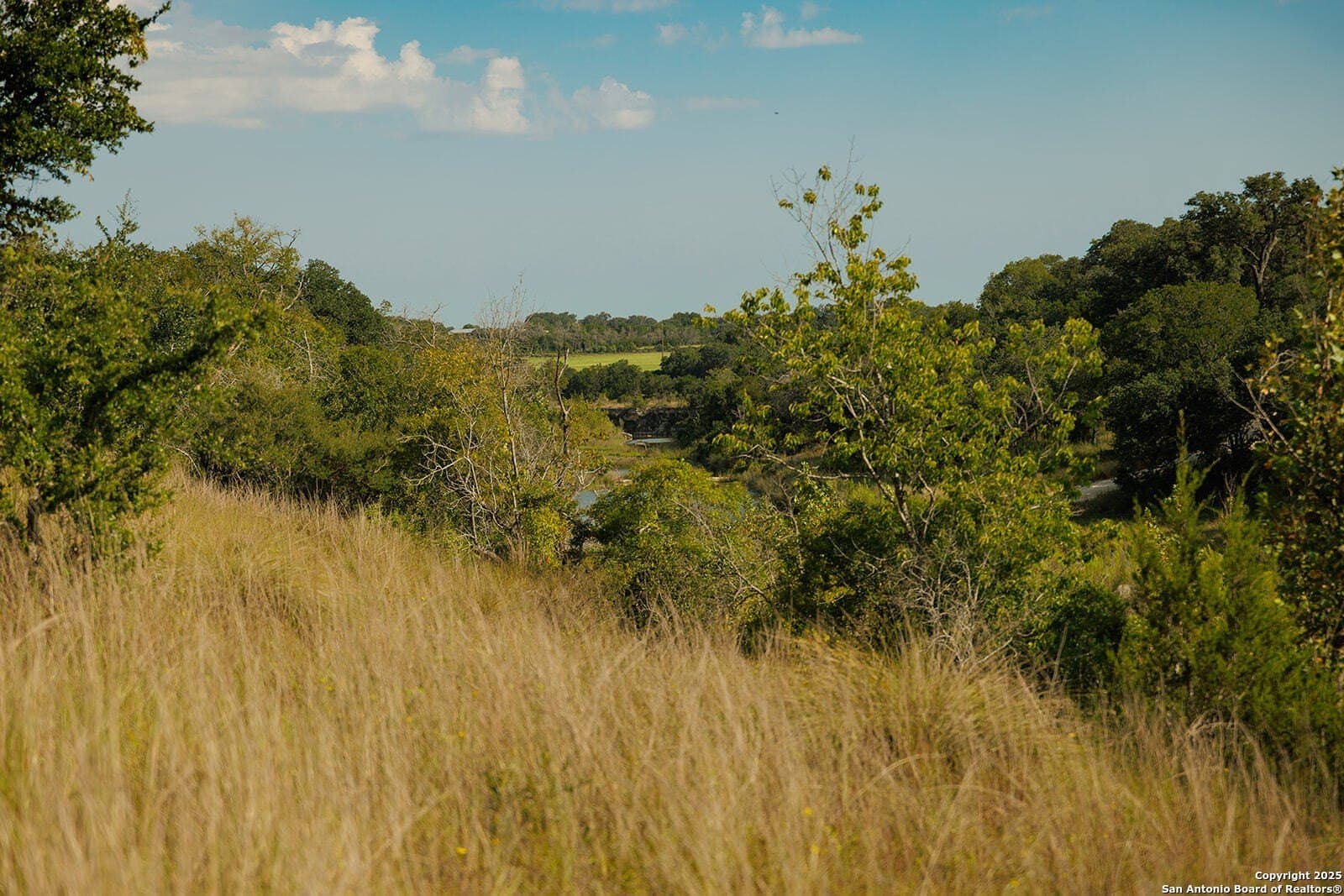 776 acres in Blanco County - photo 49