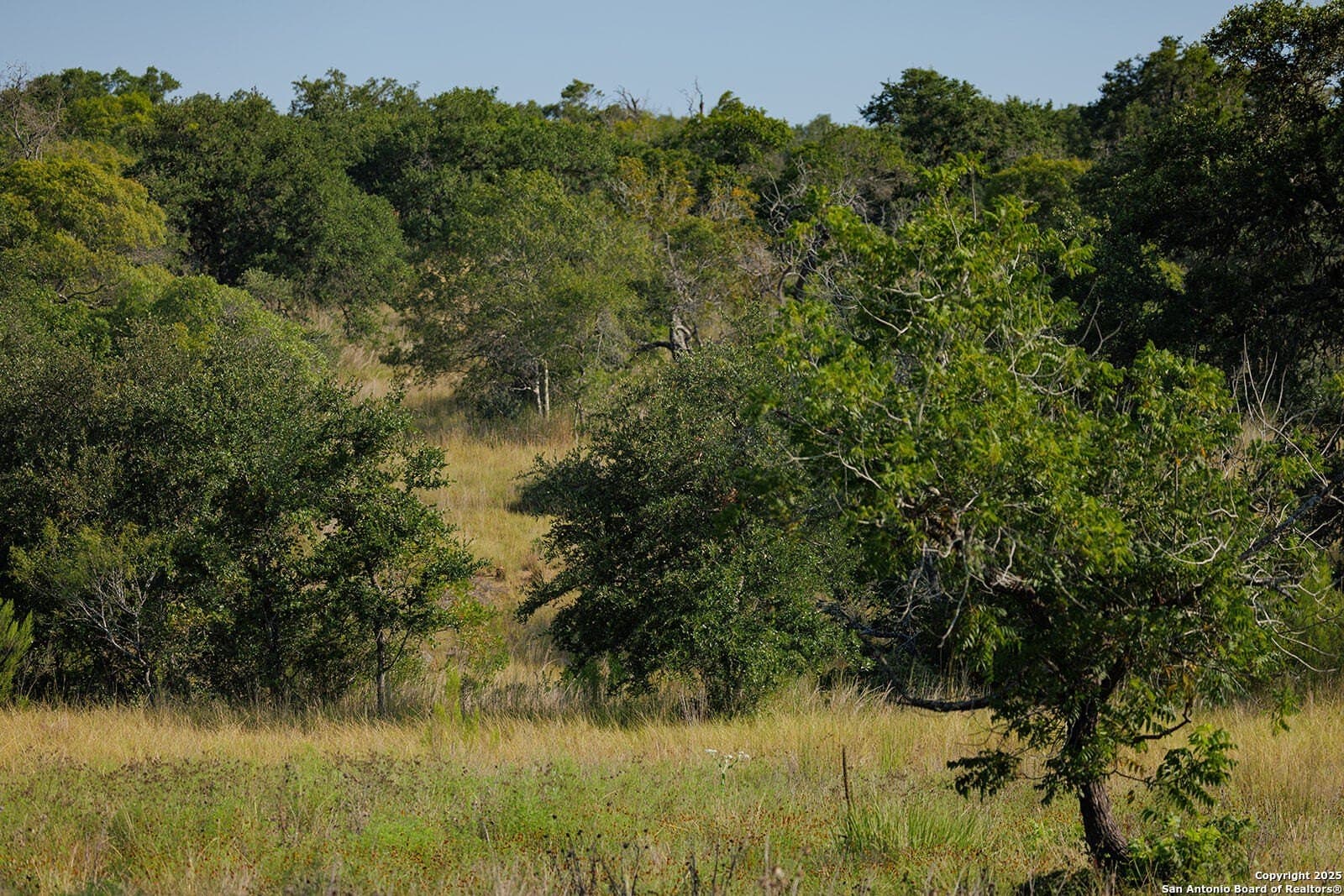 776 acres in Blanco County - photo 46