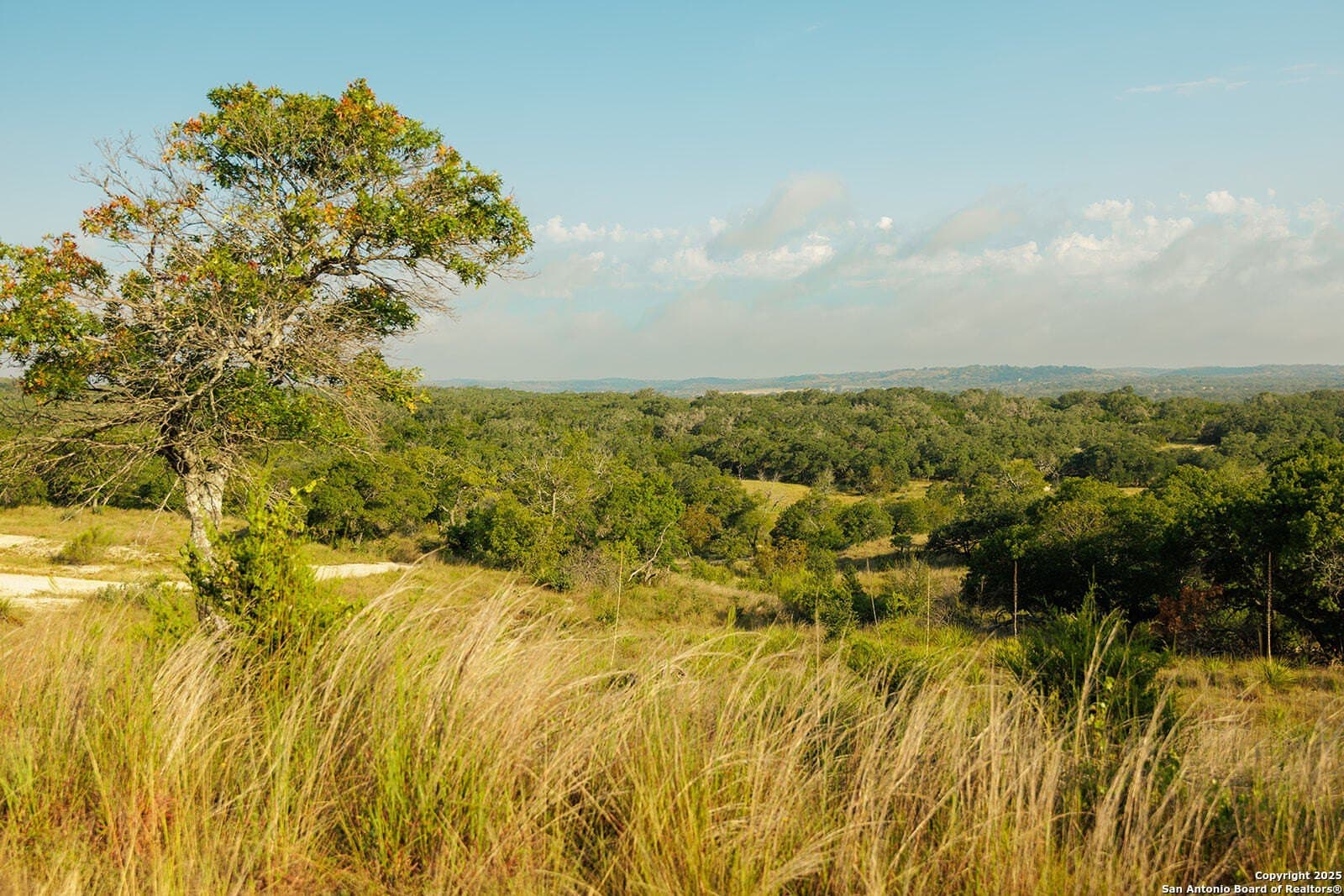 776 acres in Blanco County - photo 36