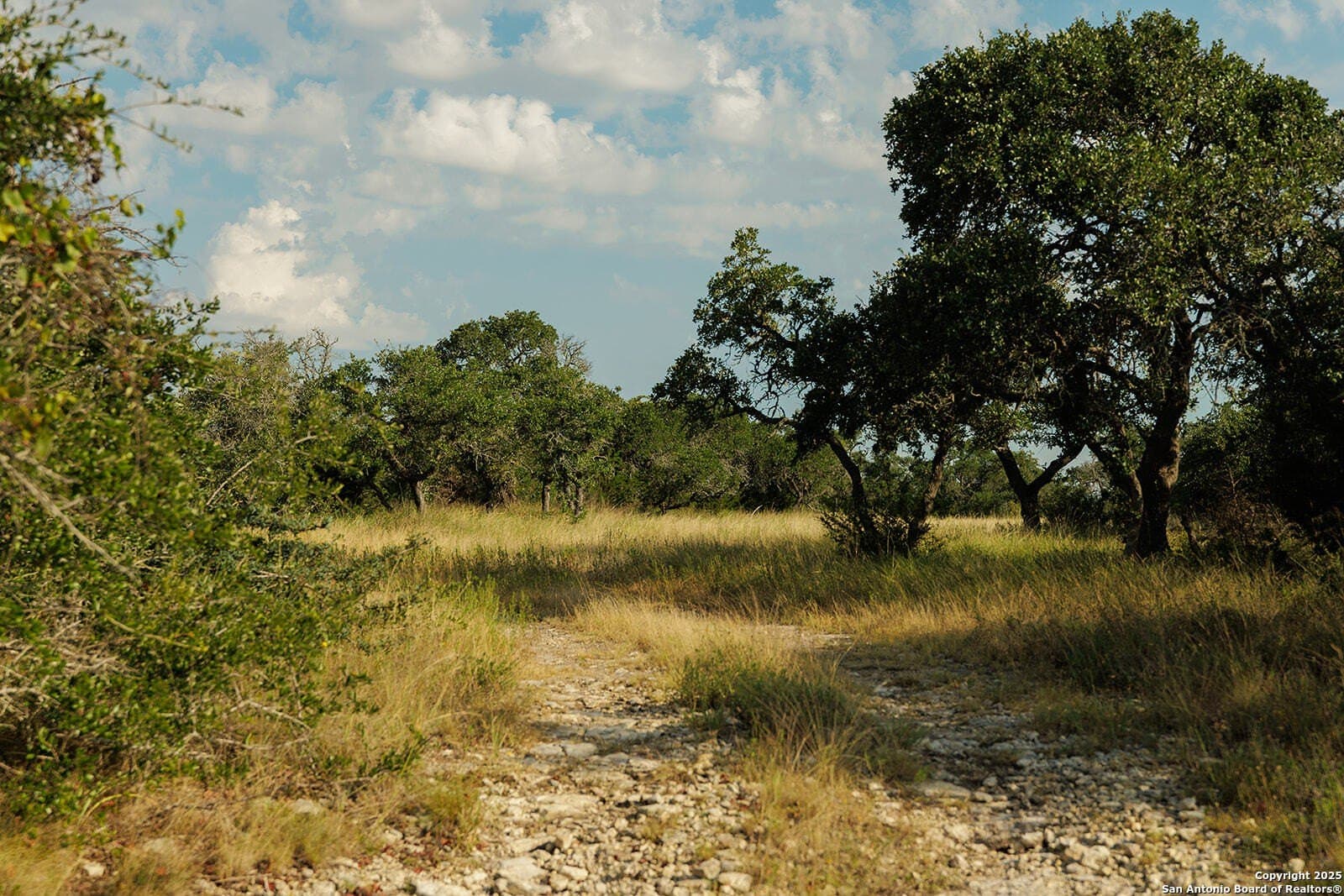 776 acres in Blanco County - photo 40