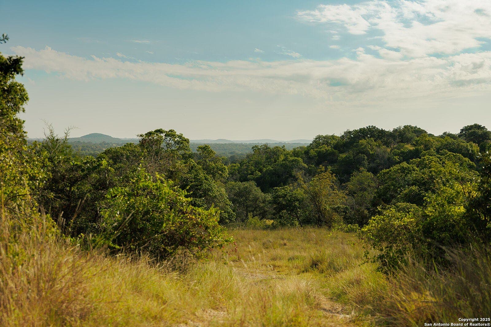 776 acres in Blanco County - photo 45