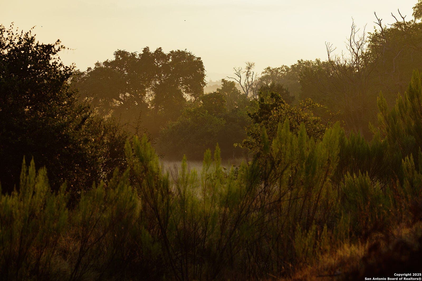 776 acres in Blanco County - photo 30