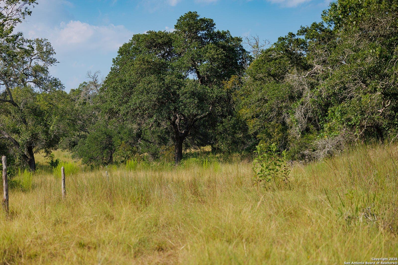 776 acres in Blanco County - photo 47