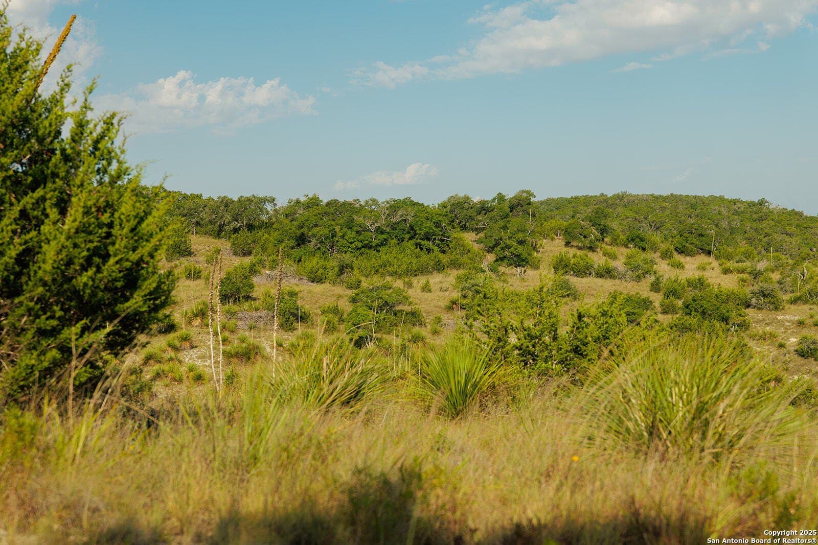 776 acres in Blanco County - photo 39