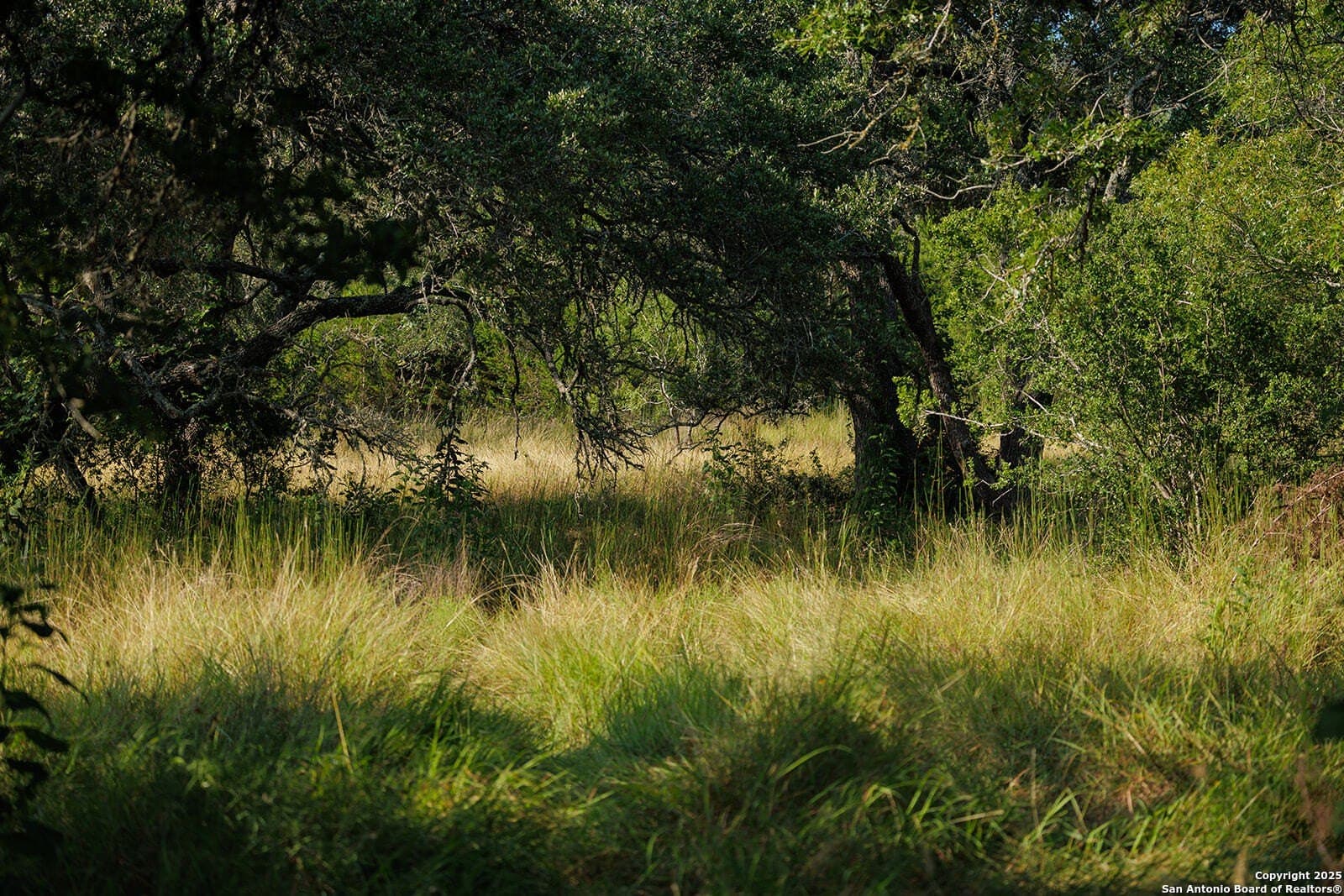 776 acres in Blanco County - photo 48