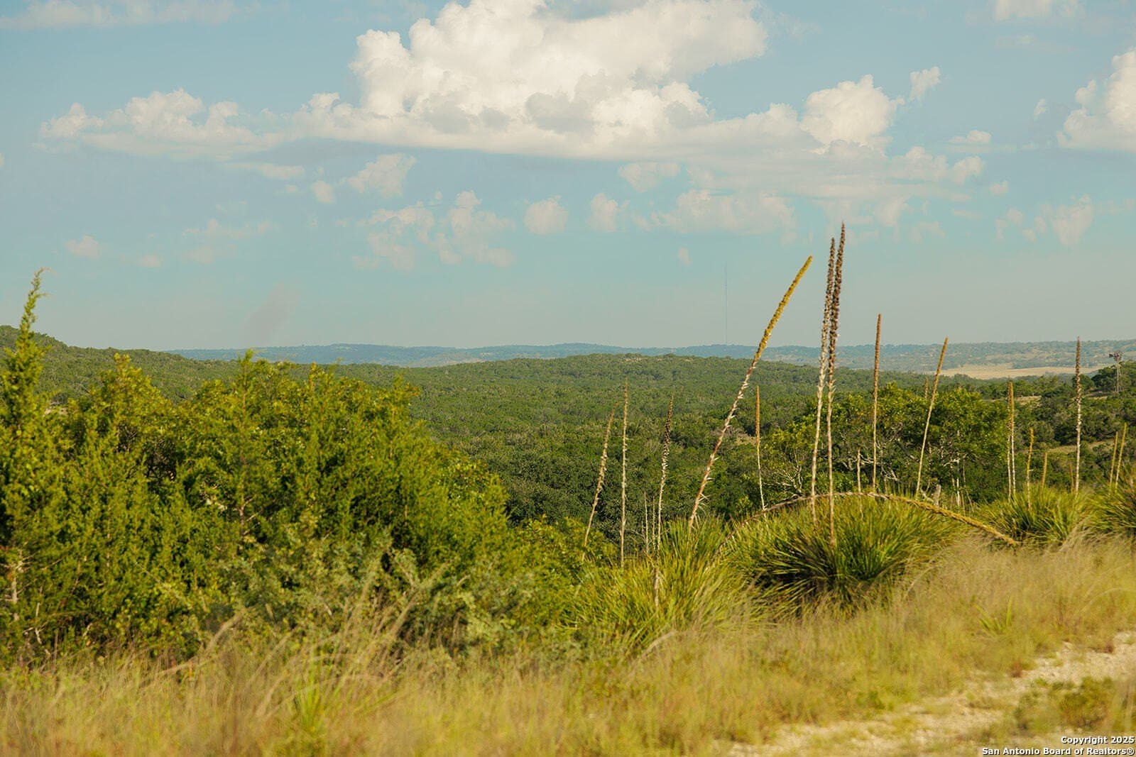 776 acres in Blanco County - photo 37