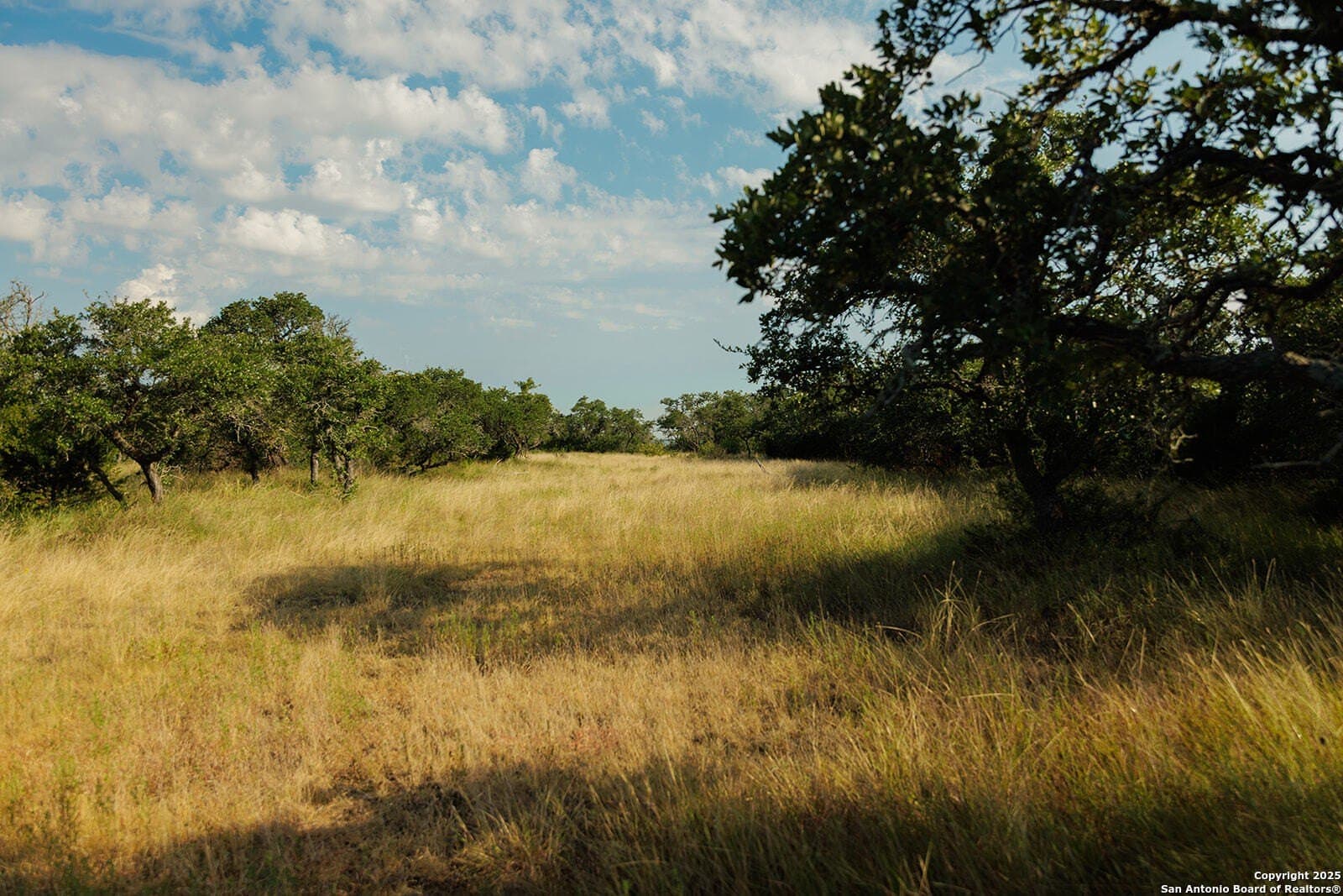 776 acres in Blanco County - photo 41