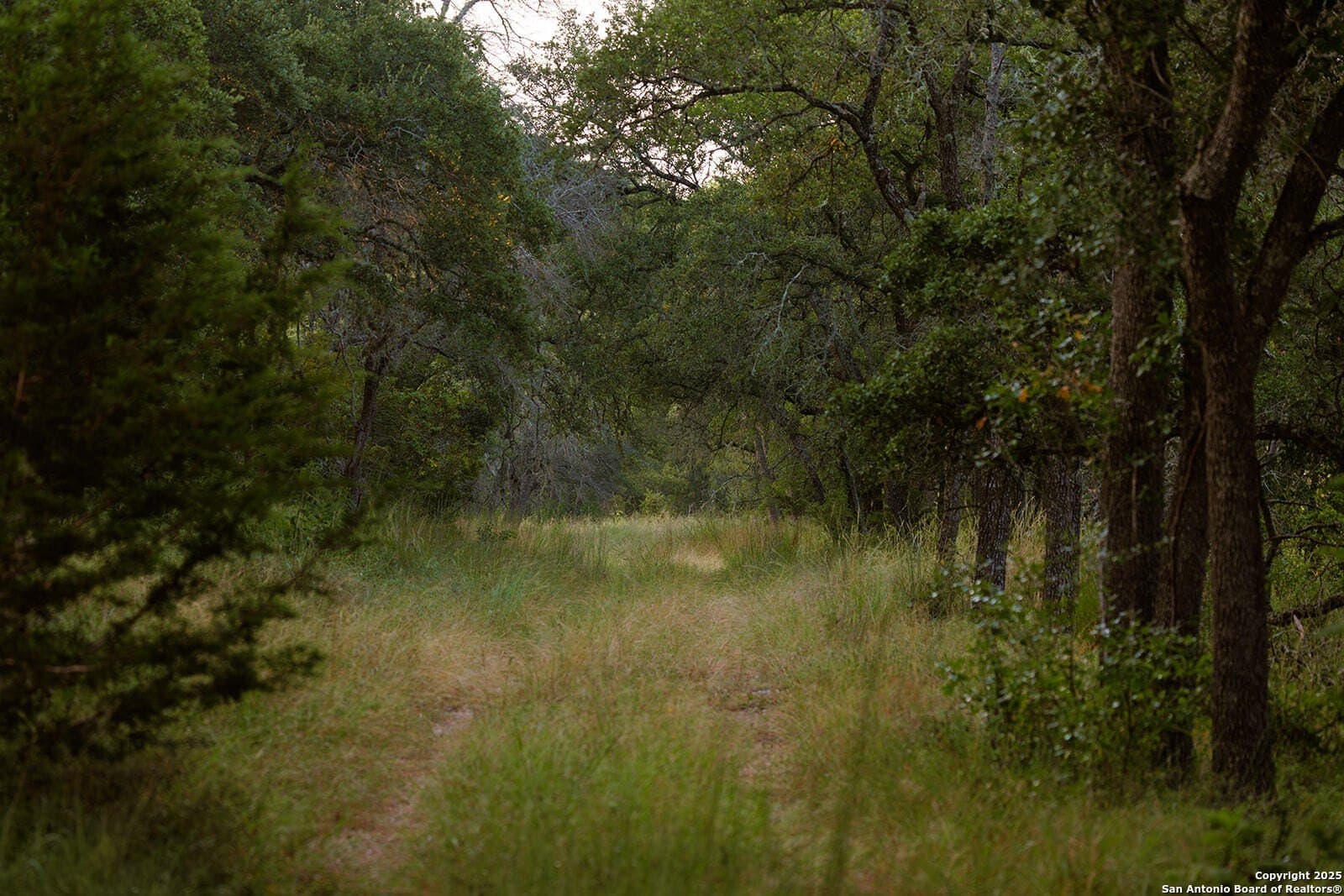 776 acres in Blanco County - photo 33