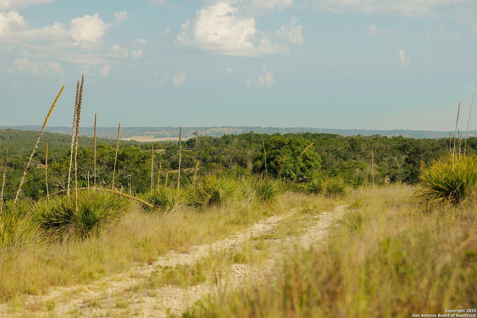 776 acres in Blanco County - photo 38