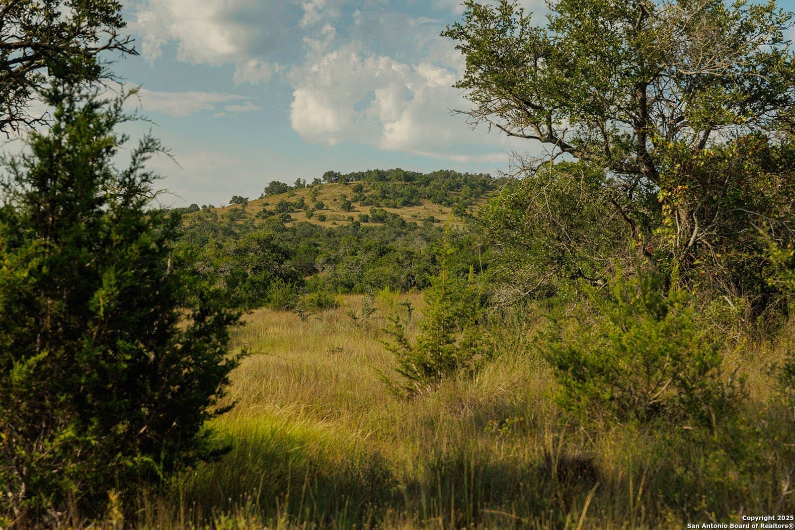776 acres in Blanco County - photo 44