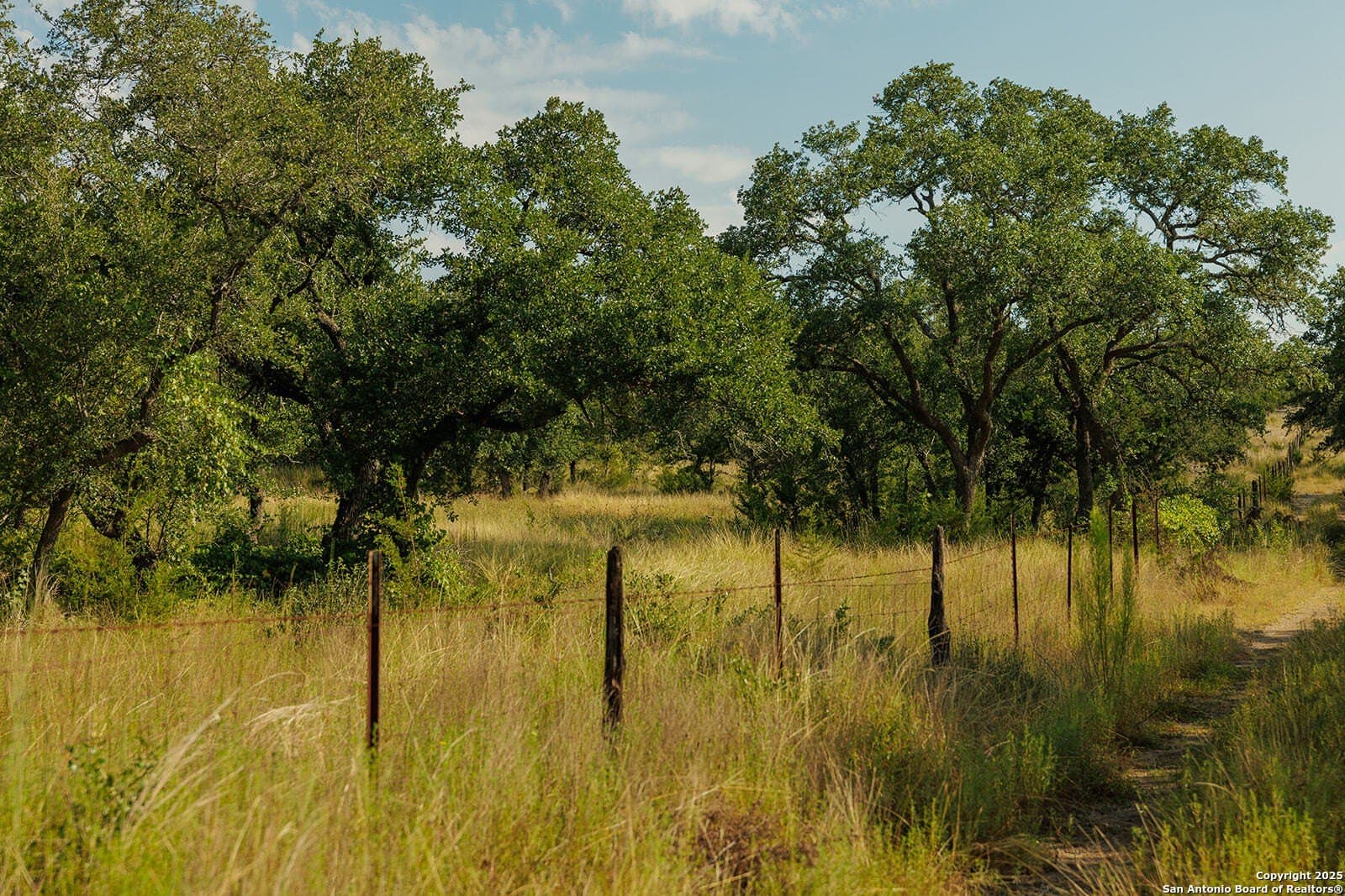 776 acres in Blanco County - photo 43