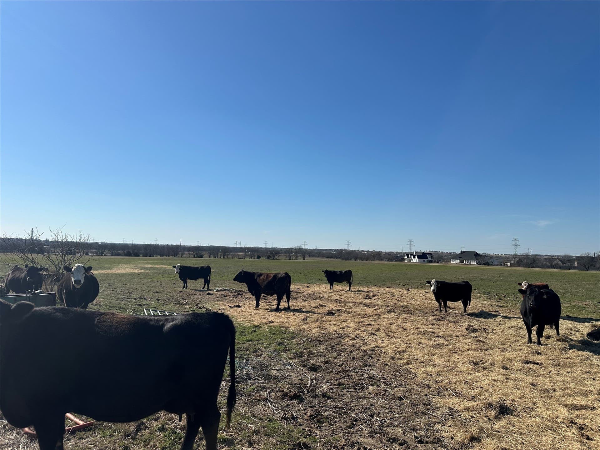 40.4 acres in Johnson County - photo 7