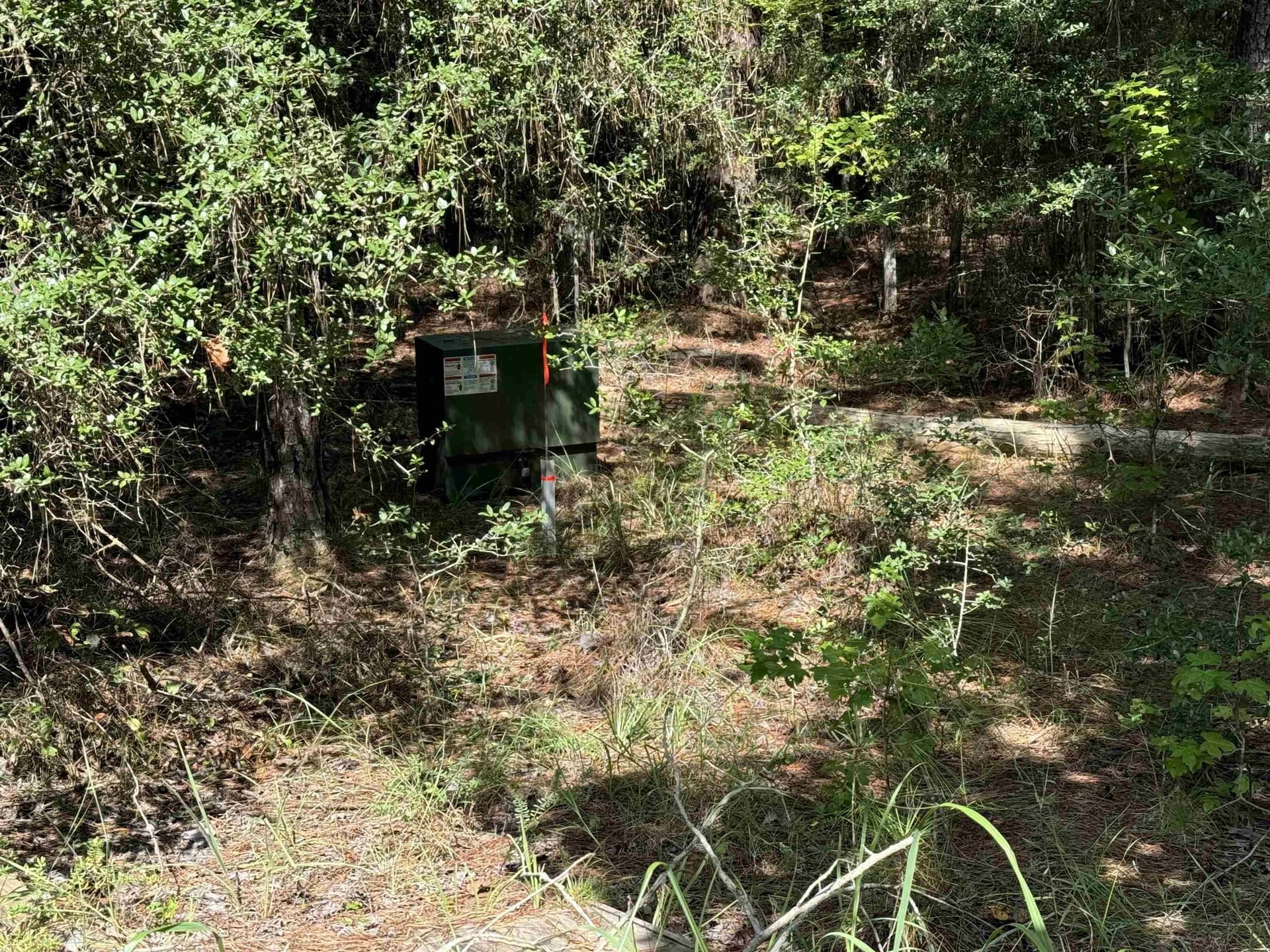 0.25 acres in Texas County gallery image 4