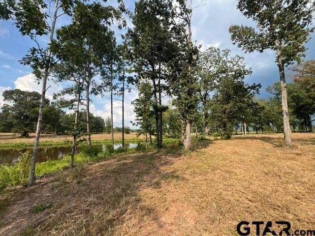 460 acres in Gregg County - photo 28