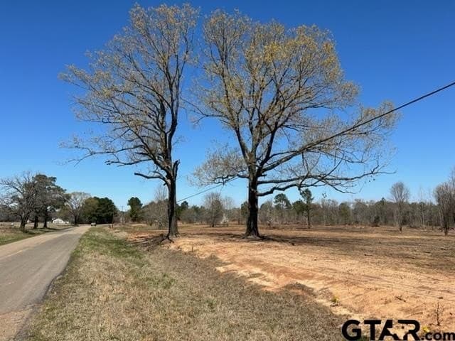 460 acres in Gregg County - photo 11