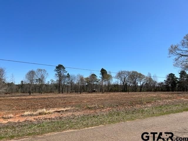 460 acres in Gregg County - photo 18