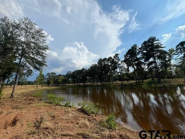 460 acres in Gregg County - photo 39