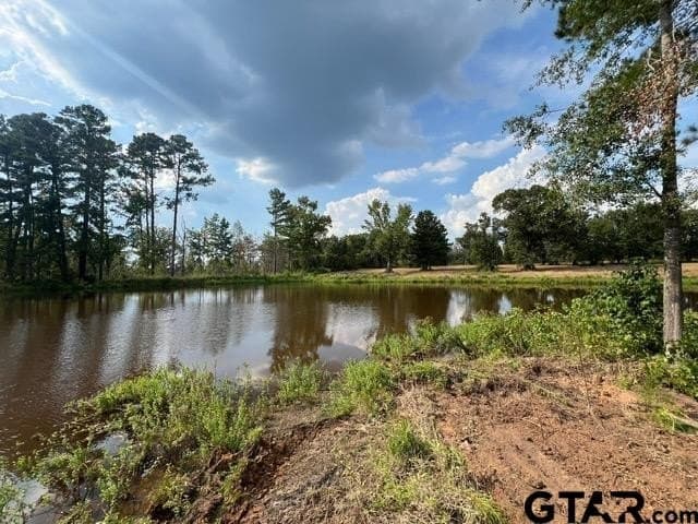 460 acres in Gregg County - photo 32