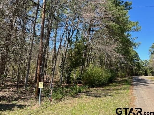 460 acres in Gregg County - photo 16