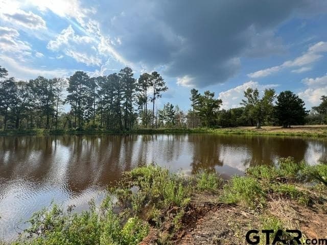 460 acres in Gregg County - photo 33