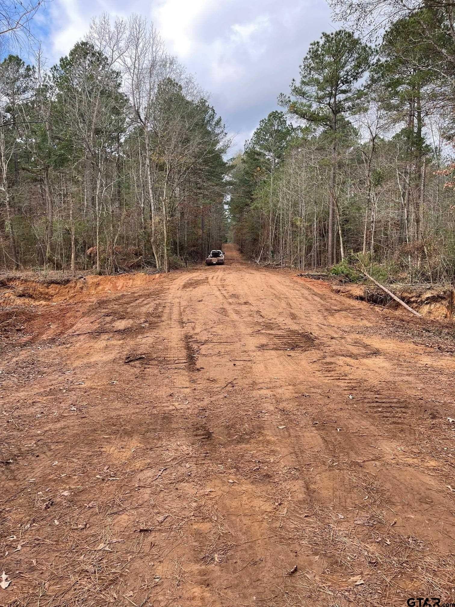 460 acres in Gregg County - photo 7