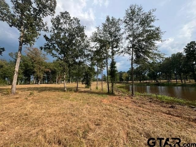460 acres in Gregg County - photo 25